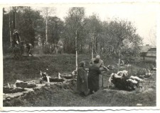 Powiększ zdjęcie Rozwadów, Charzewice — groby rozstrzelanych przez nazistów niedługo po ekshumacji, która nastąpiła ok. 1947 roku