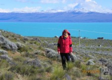 Powiększ zdjęcie w tle Argentino — największe jezioro w Argentynie położone w Andach Patagońskich, w Parku Narodowym Los Glaciares