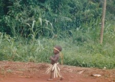 Powiększ zdjęcie Wielka wędrówka małego Pigmeja