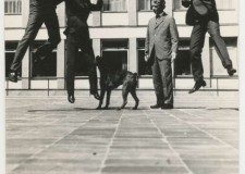 Powiększ zdjęcie Blackout: Stan Borys, Piotr Nowak, pies, Józef Hajdasz, Tadeusz Nalepa; Warszawa 1966–1967